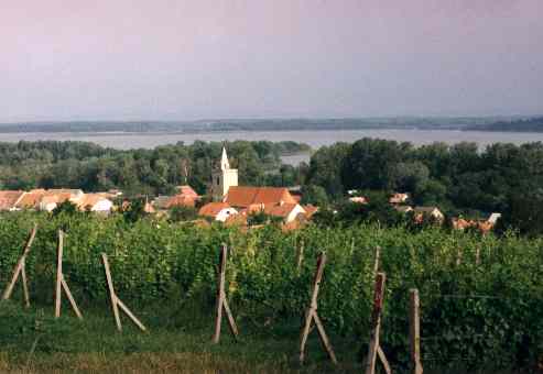 Velké Pavlovice, Břeclavsko (v pozadí nádrž Mušov)